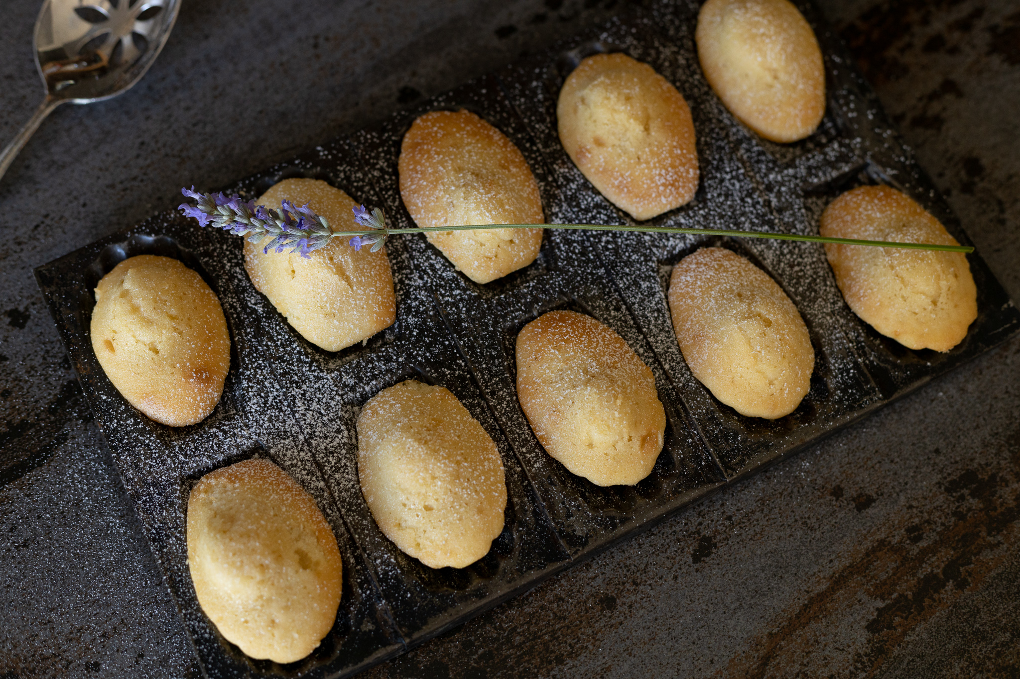 French baked madeleines